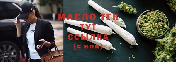 индика Володарск