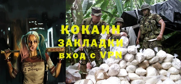 твердый Новосибирск
