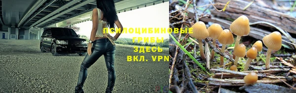 прущий лед Ессентукская