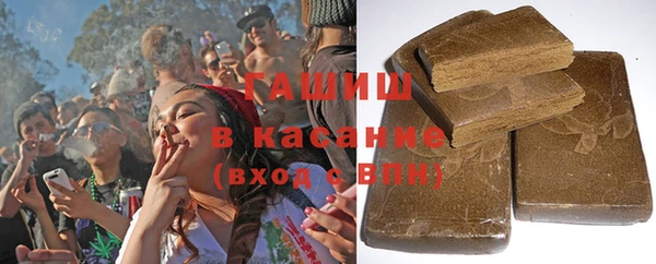 индика Володарск