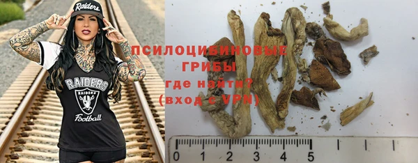 прущий лед Ессентукская