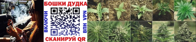 МАРИХУАНА SATIVA & INDICA Краснозаводск